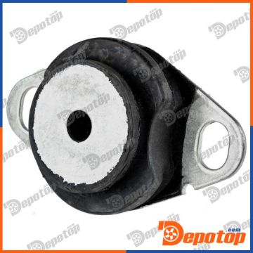 Support de boite de vitesse arrière gauche pour RENAULT | ZPS-RE-034